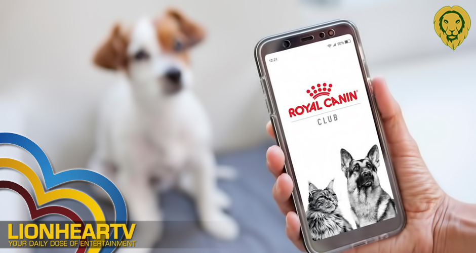 Start your pet parenting journey with Royal Canin Club