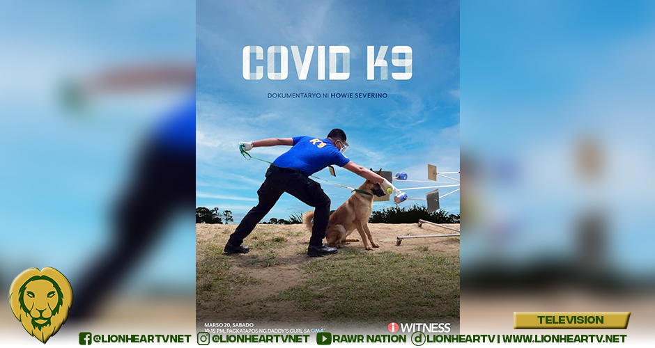 Howie Severino’s documentary, ‘COVID K9,’ airs this Saturday on i-Witness