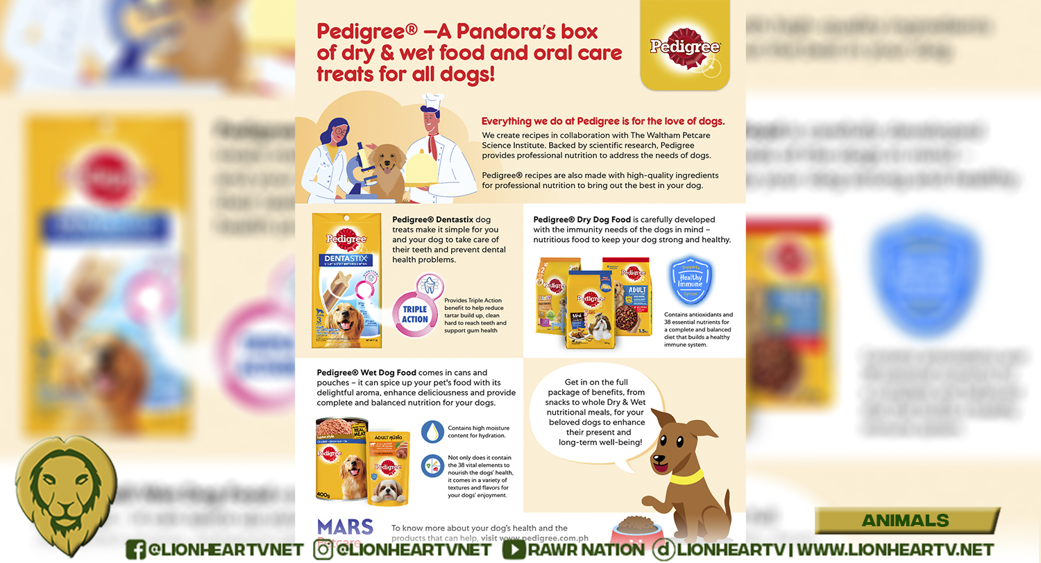 A Pandora’s Box of Dry & Wet food and Oral Care Treats for all dogs!
