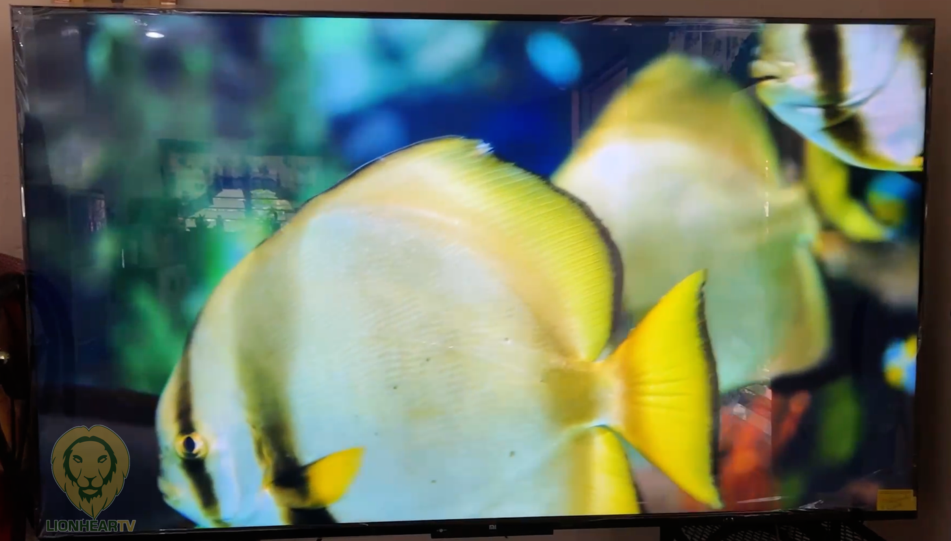 Mi TV P1 55丨Xiaomi España丨