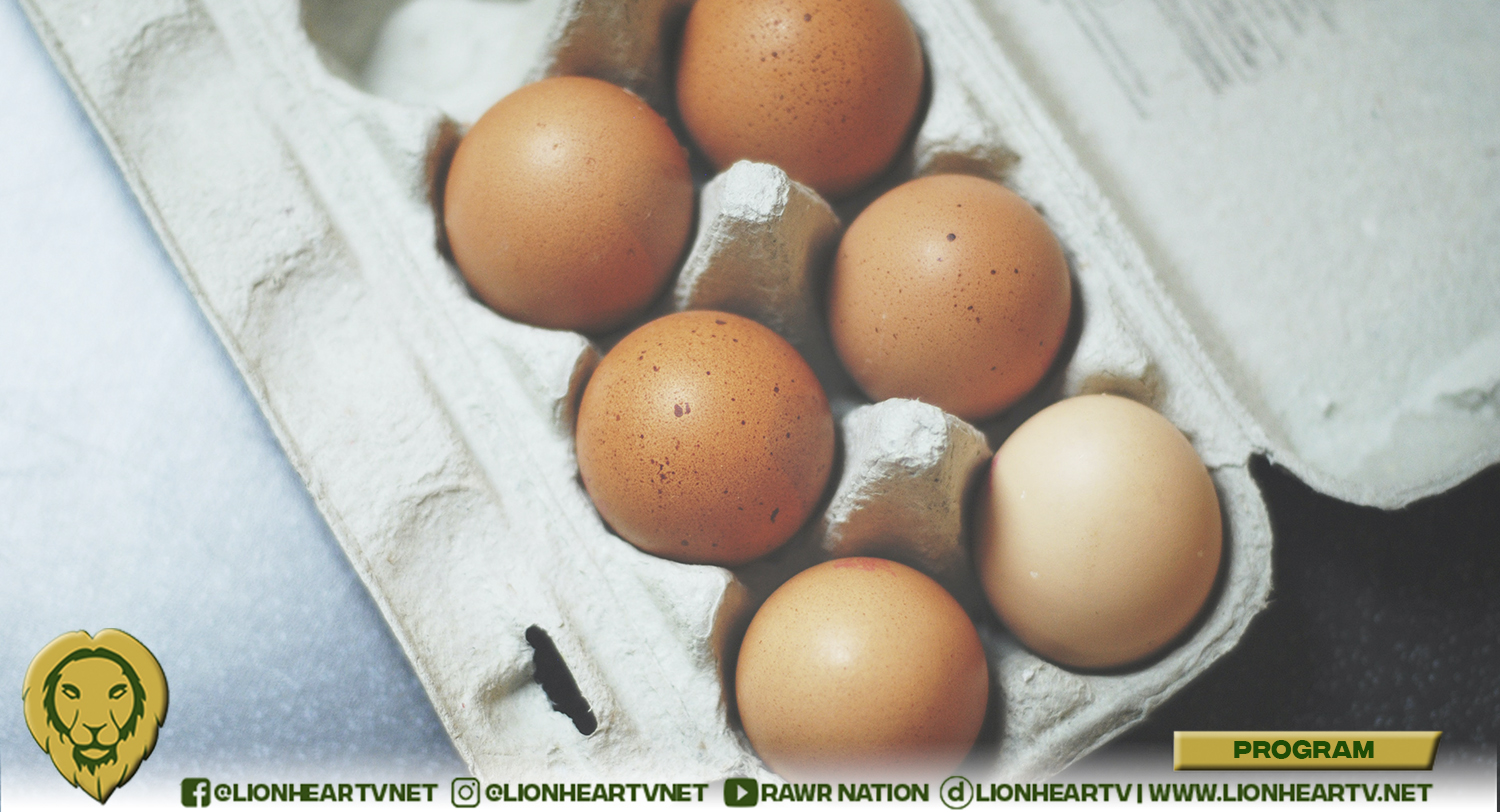 MFT Group Praised for New Cage-Free Egg Policy