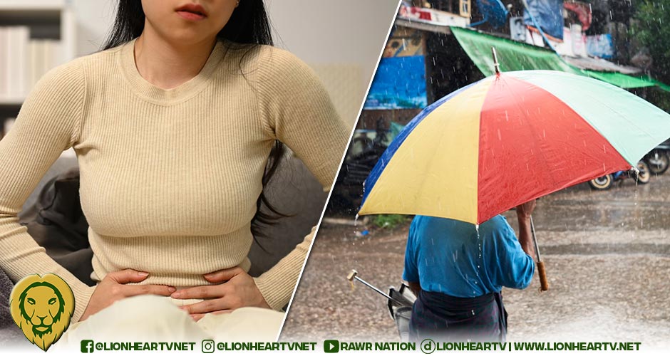 The Surprising Link Between the Rainy Season and Your Gut