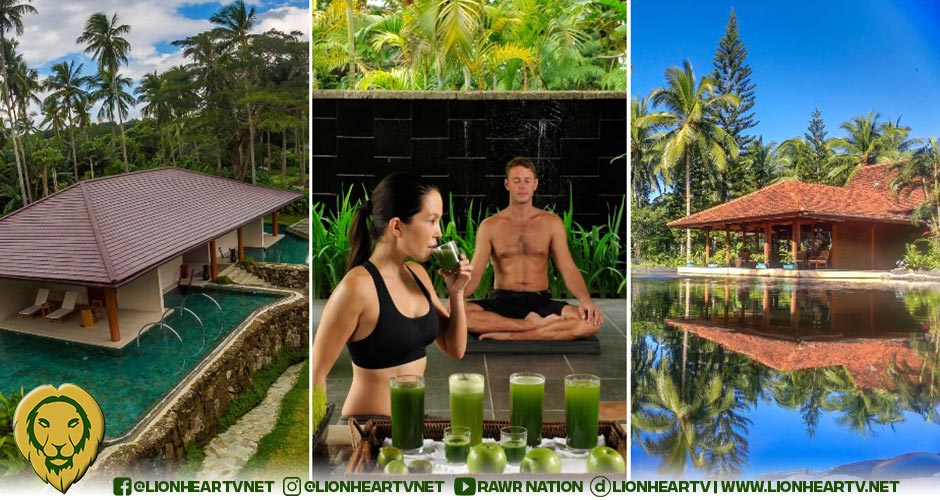 Reclaim Your Health in 2025 with a Transformative Detox & Weight Loss Retreat at The Farm