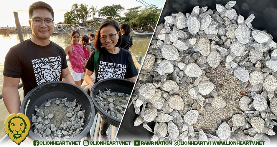 Travel + Leisure Co. releases 270 baby sea turtles in Bataan to support conservation efforts