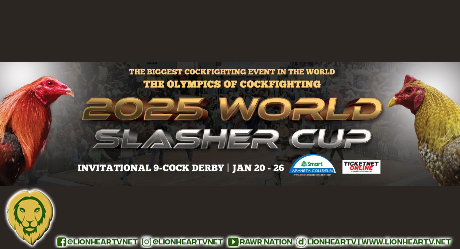 82 entries to compete in 2025 WSC-1 grand finals