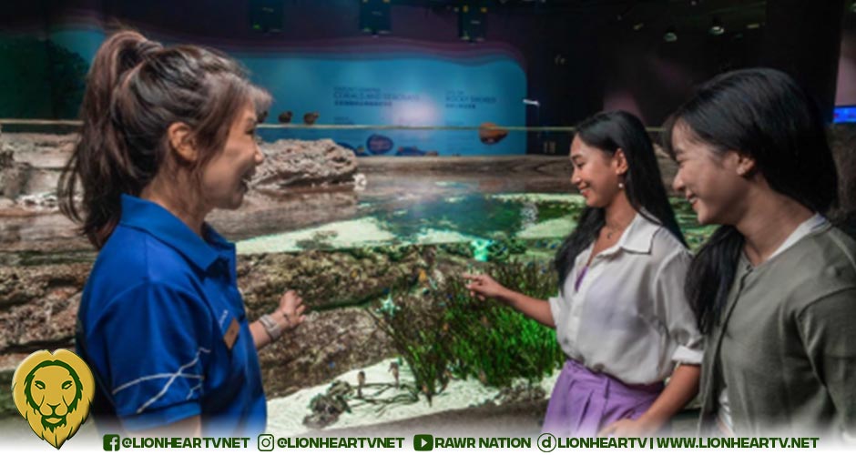 Singapore Oceanarium spotlights native seahorses through exclusive guided experience
